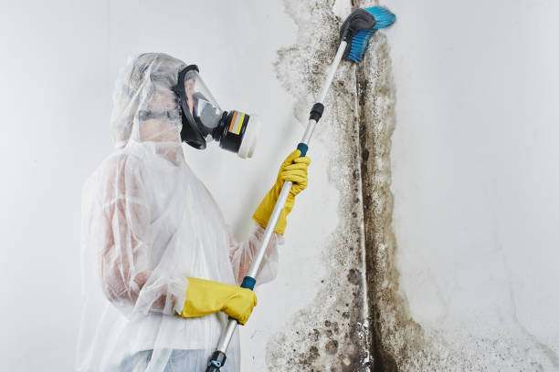 Crawl Space Mold Removal in Banks, OR