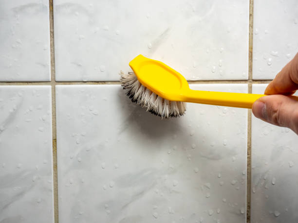 Best Mold Cleaning Services  in Banks, OR