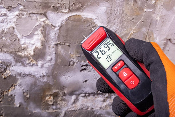 Best Certified Mold Removal  in Banks, OR