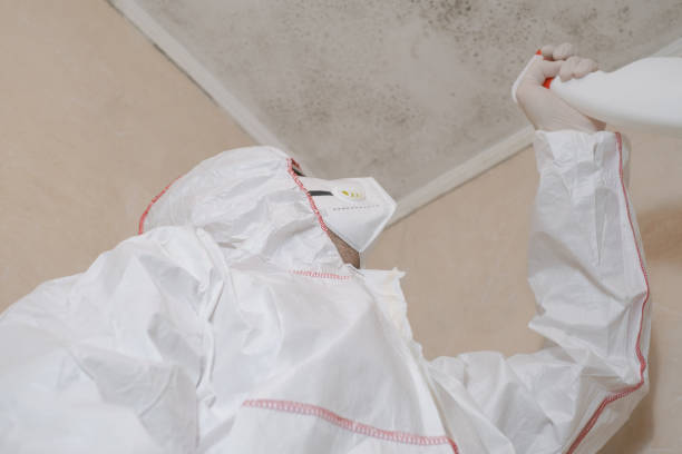 Best Mold Removal Company Near Me  in Banks, OR